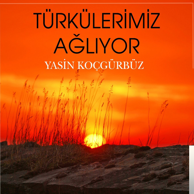 Yasin Koçgürbüz