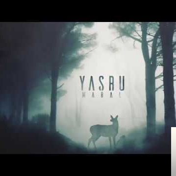 Yashru