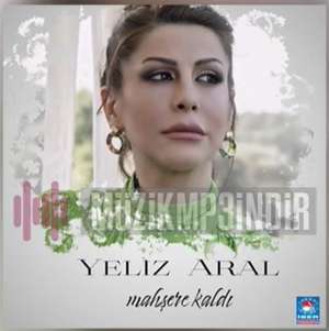 Yeliz Aral