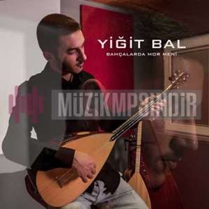 Yiğit Bal