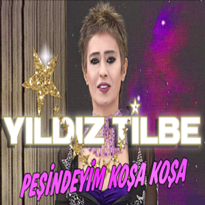 Yıldız Tilbe -  album cover