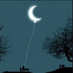 Zeki Berkay Balcı - Ay Işığı Sessizliği (2020) Albüm