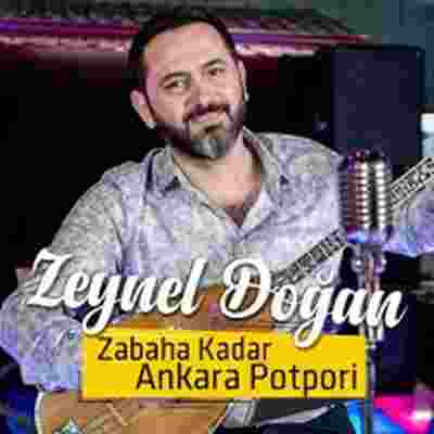 Zeynel Doğan -  album cover