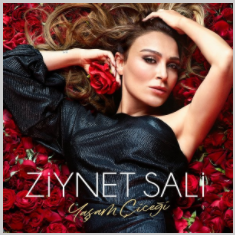 Ziynet Sali -  album cover