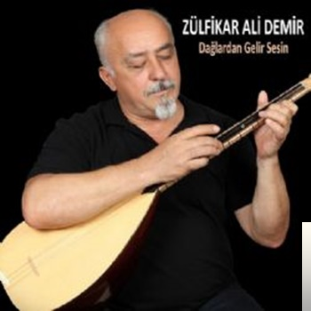 Zülfikar Ali Demir