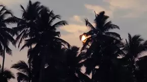 est-kak-est