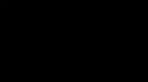 zvezda