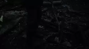 umnojit-rabskie-lektsii